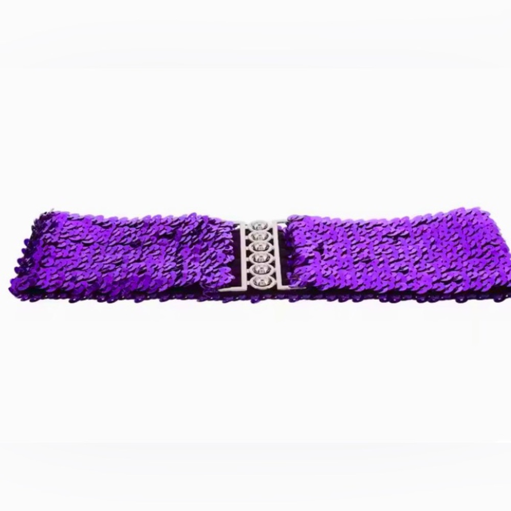 Waistband Sequin Women's Belt